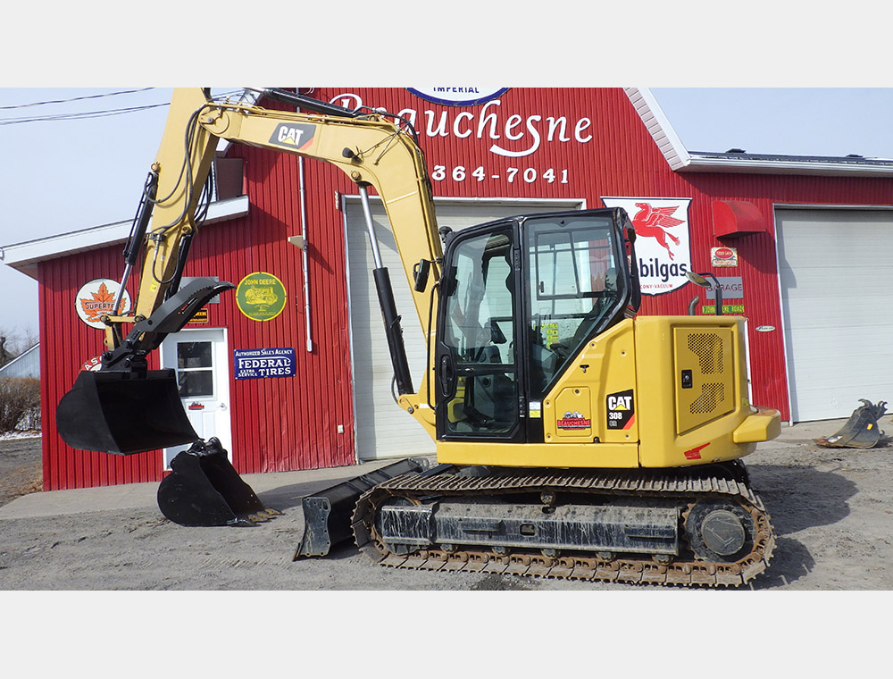 Cat 308 .JPG