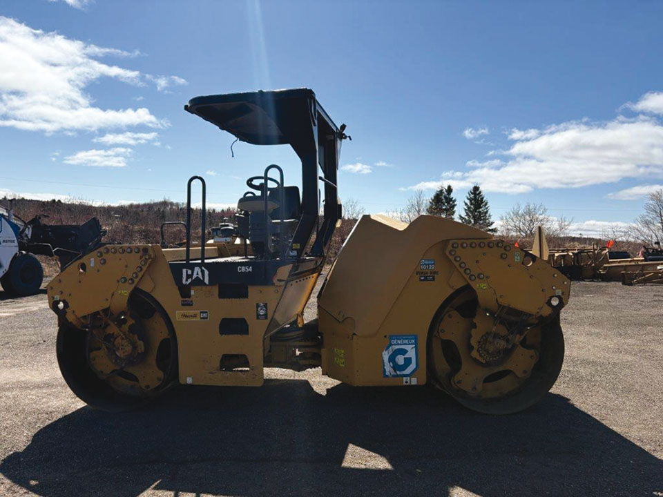 Cat-CB54.jpg