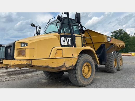 CAT-725.jpg
