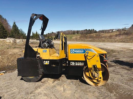 Cat-335D.jpg